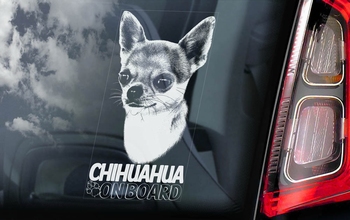 Chihuahua 3 Hondensticker voor op de auto  Per Stuk