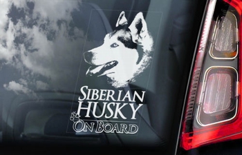 Siberische Husky  Hondensticker voor op de auto  Per Stuk
