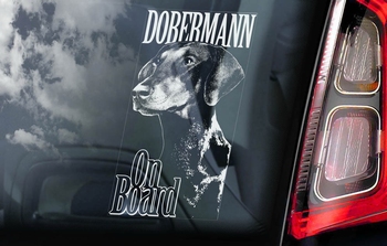 Dobermann 2 Hondensticker voor op de auto  Per Stuk