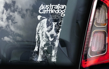 Australian Cattle Dog 4 Hondensticker voor op de auto  Per Stuk