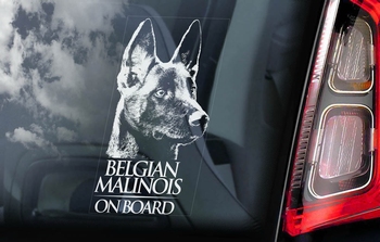 Belgian Malinois 1 Hondensticker voor op de auto  Per Stuk
