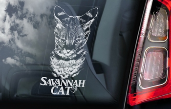 Savannah Cat Kattensticker voor op de auto  Per Stuk