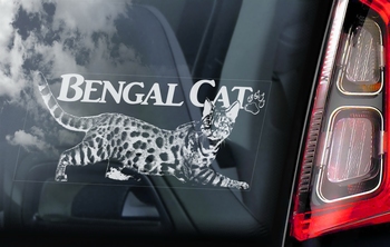 Bengal Cat 2 Kattensticker voor op de auto  Per Stuk