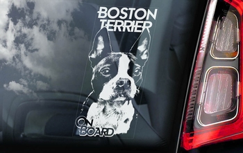 Boston Terrier Hondensticker voor op de auto  Per Stuk