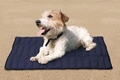 PetCooler PET MAT Per stuk vanaf