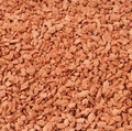 Dutch Small Red Vanaf