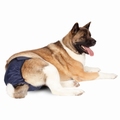 Snuggease Twin Pack Hondenluier (2 luiers) Vanaf