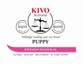 Kivo Complete Maaltijd SPECIAAL VOOR PUPPY'S 250 gram Verp. 10 kg