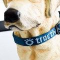 Tractive Collar Large 45-70 cm/ 30mm Per Stuk