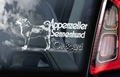 Appenzeller Sennenhond Hondensticker voor op de auto Per Stuk