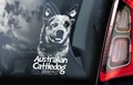 Australian Cattle Dog 3 Hondensticker voor op de auto Per Stuk