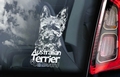 Australian Terrier 2  Hondensticker voor op de auto Per Stuk