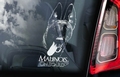 Belgian Malinois 5 Hondensticker voor op de auto Per Stuk