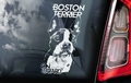 Boston Terrier Hondensticker voor op de auto Per Stuk